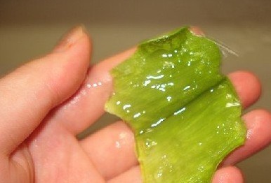 如何自制芦荟祛痘面膜